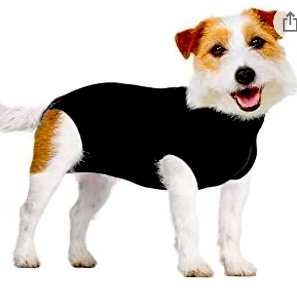 𝅺SUITICAL Recovery Suit for Dog Size Small